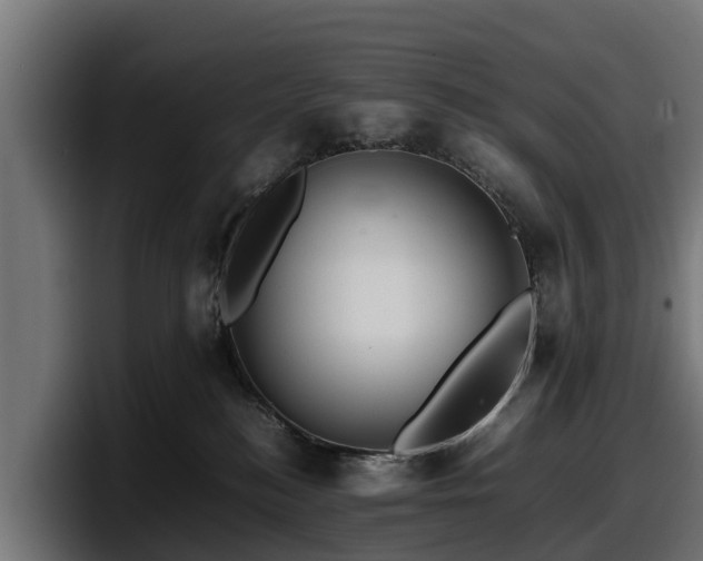 X0000097840184200803201525