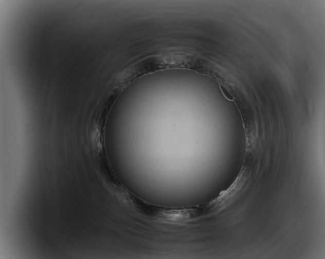 X0000097840187200803201525