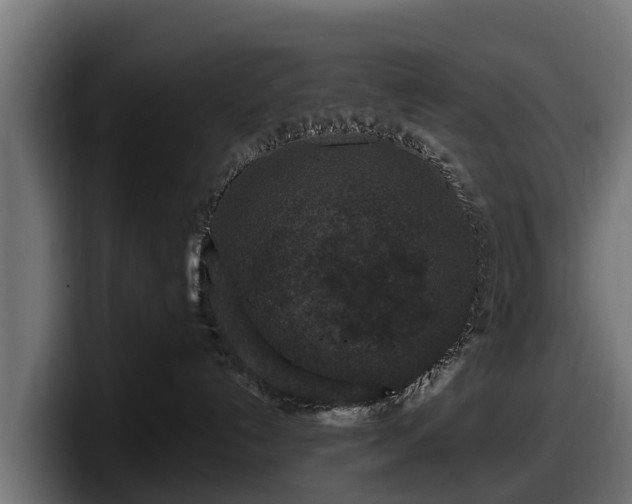 X0000097840192200803201525