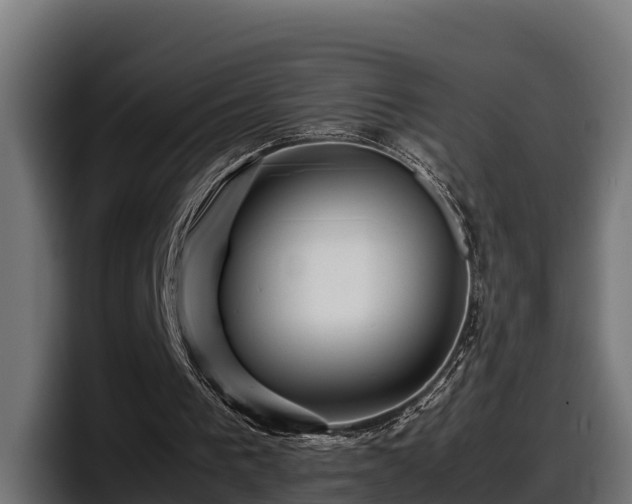 X0000097840193200803201525