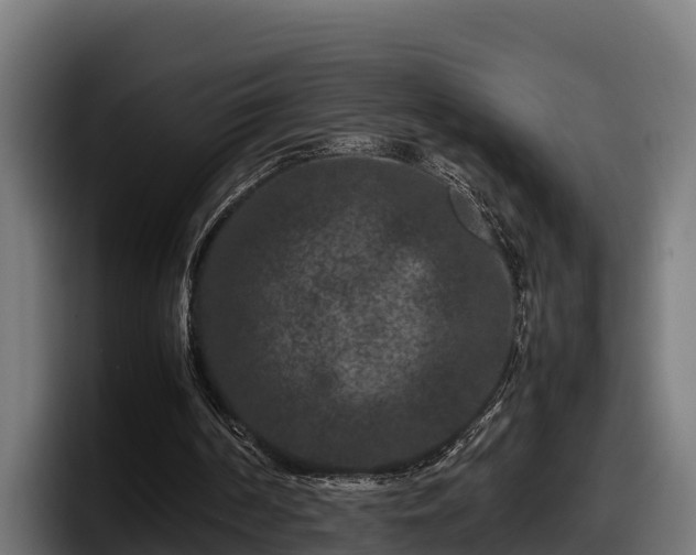 X0000097840194200803201525