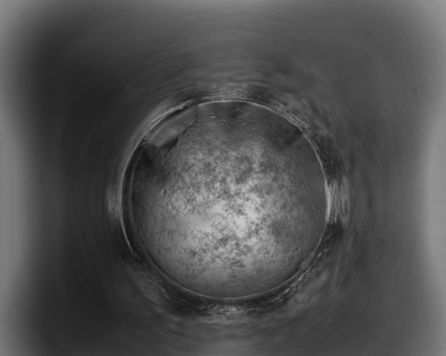 X0000097840195200803201525
