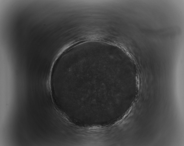 X0000097840196200803201525