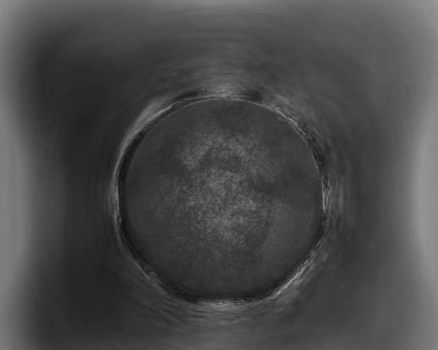 X0000097840198200803201525