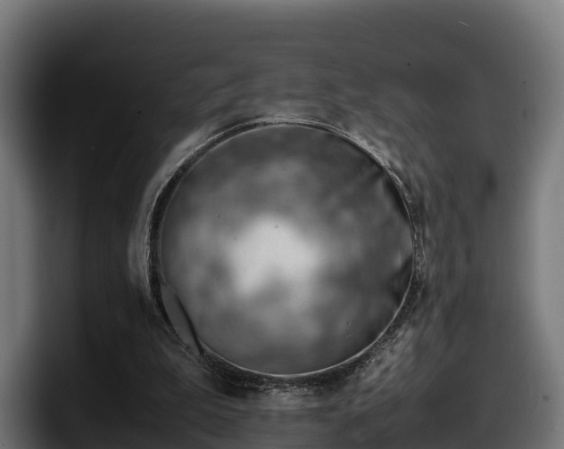 X0000097840199200803201524