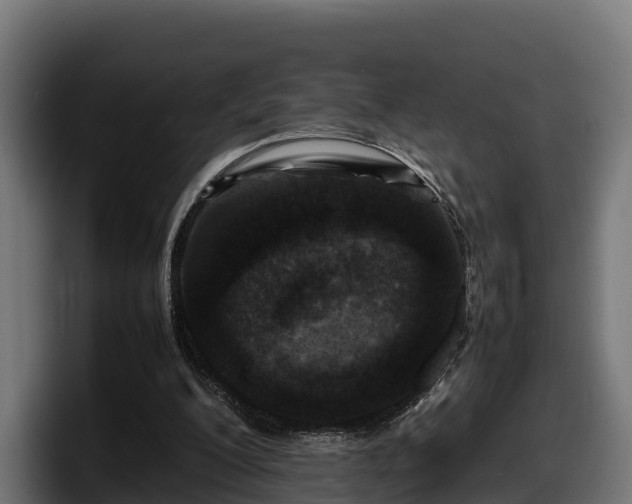 X0000097840200200803201524