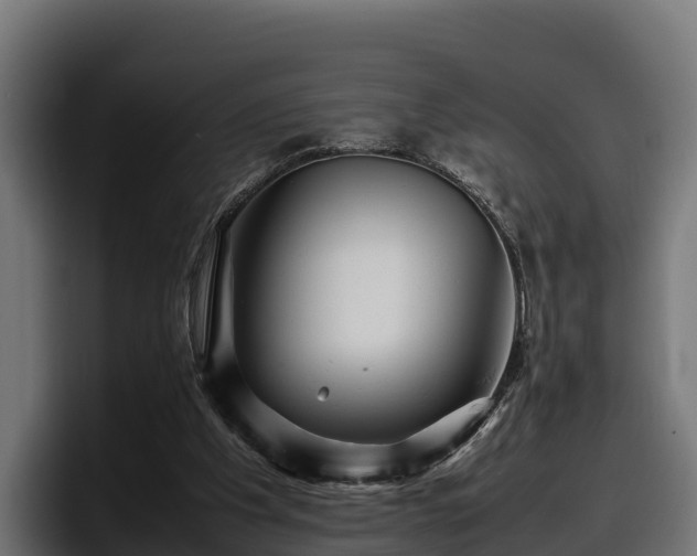 X0000097840201200803201524