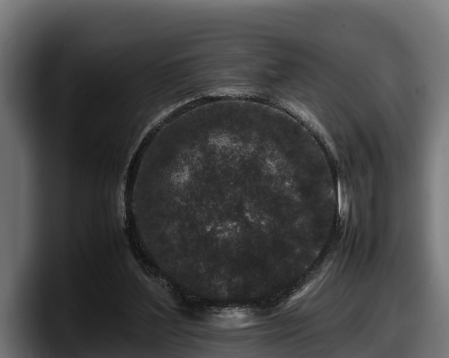 X0000097840204200803201524
