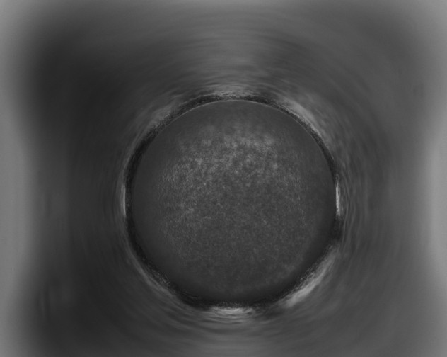 X0000097840205200803201524