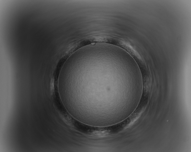 X0000097840213200803201524