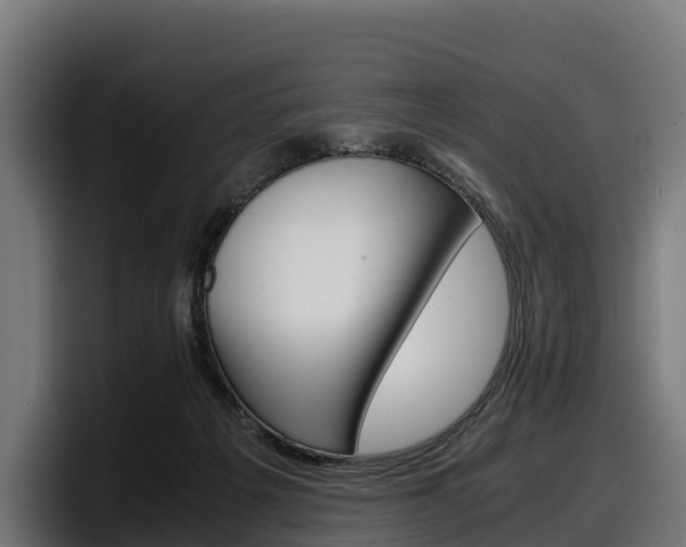 X0000097840217200803201524