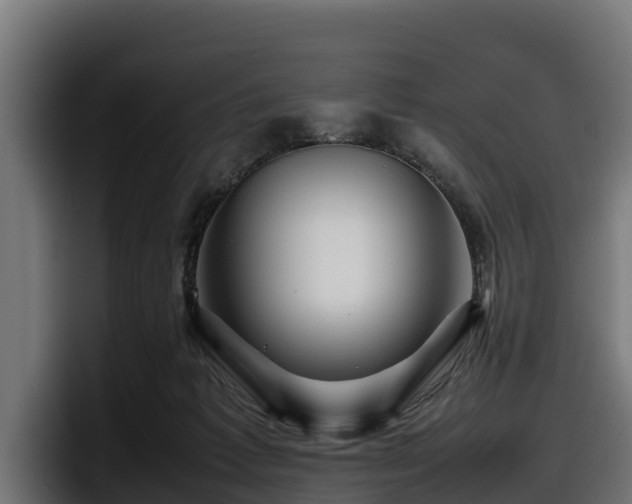 X0000097840221200803201524