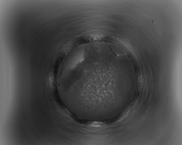 X0000097840222200803201524