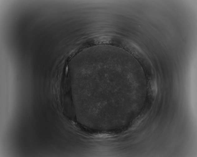X0000097840224200803201524