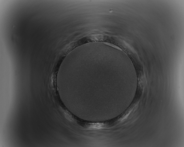 X0000097840233200803201524