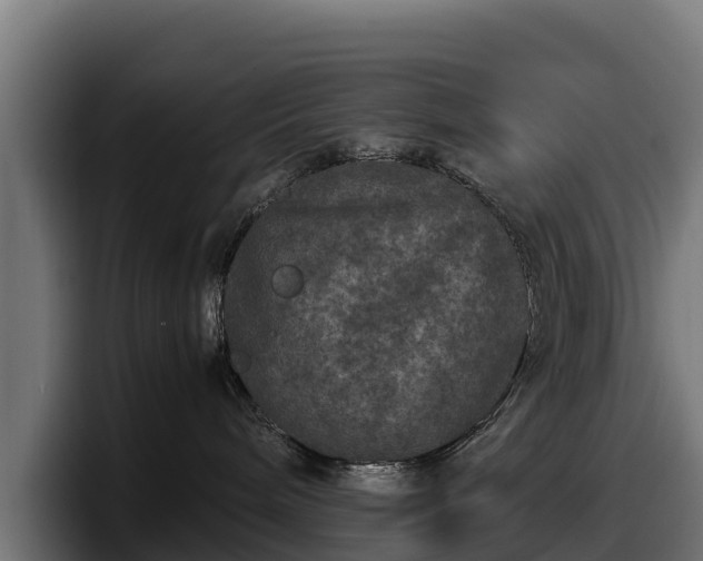X0000097840240200803201524