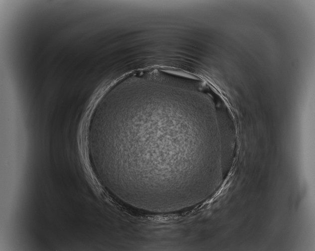 X0000097840241200803201523