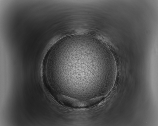 X0000097840242200803201523
