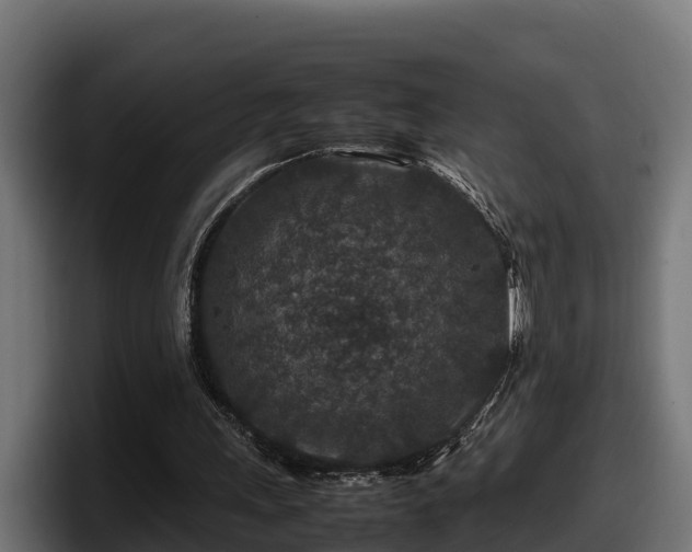 X0000097840243200803201523
