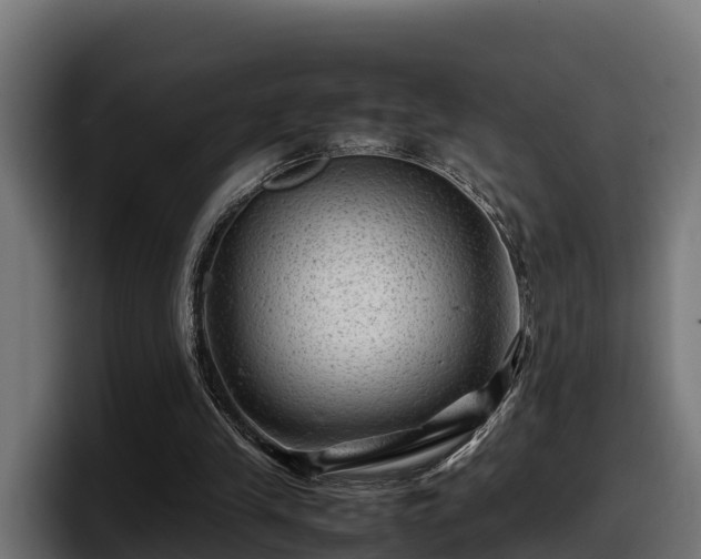 X0000097840245200803201523