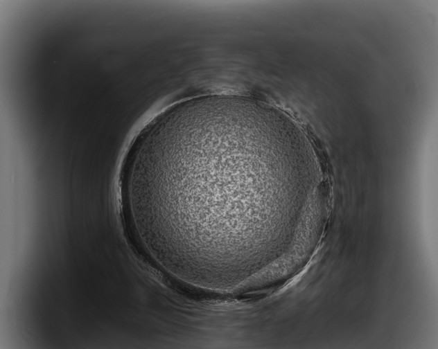 X0000097840246200803201523