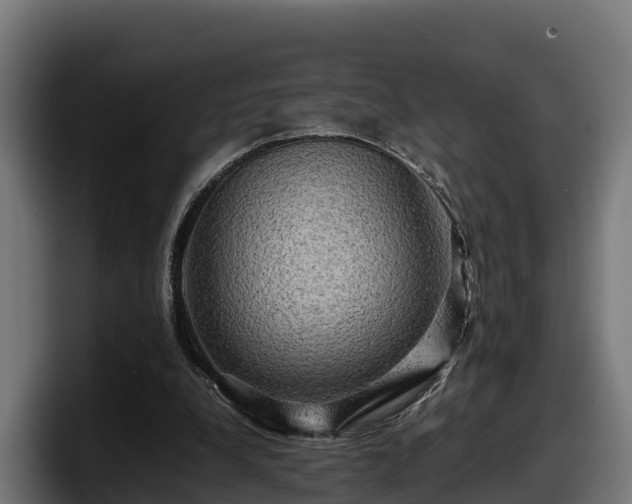 X0000097840248200803201523