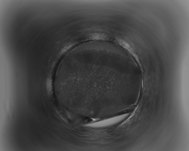 X0000097840249200803201523