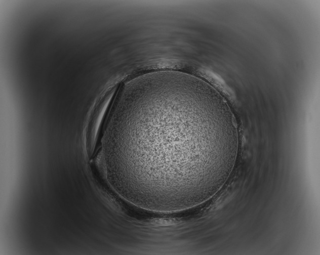 X0000097840250200803201523