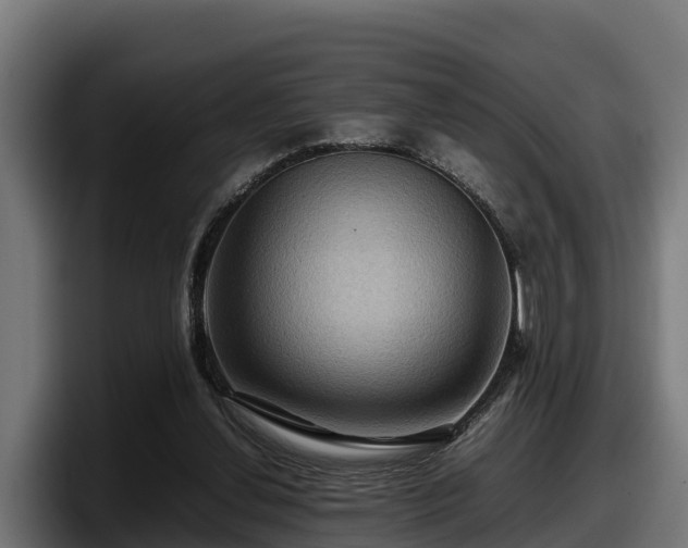 X0000097840252200803201523