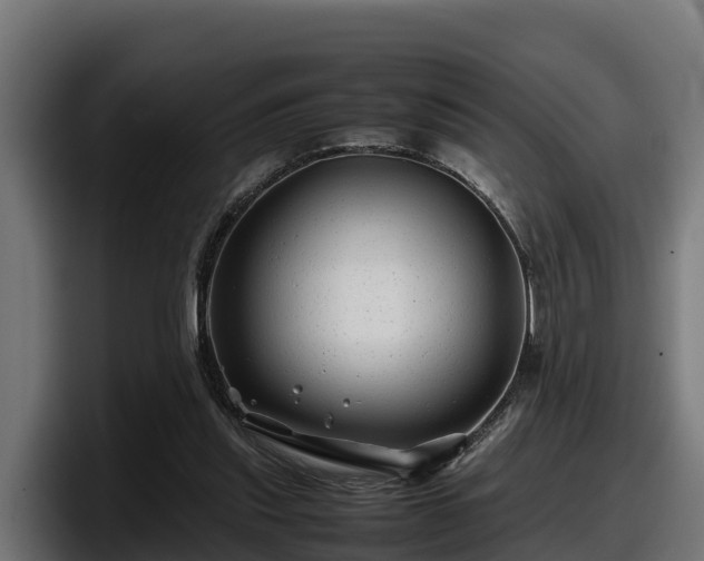 X0000097840253200803201523
