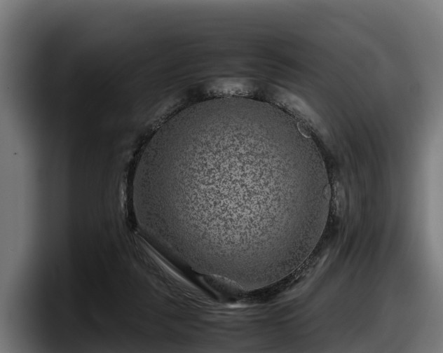X0000097840259200803201524