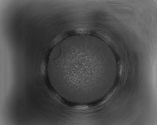 X0000097840266200803201524