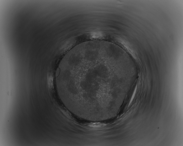 X0000097840269200803201524