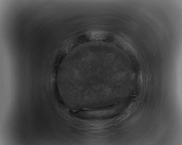 X0000097840271200803201524