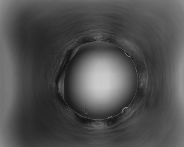 X0000097840279200803201524