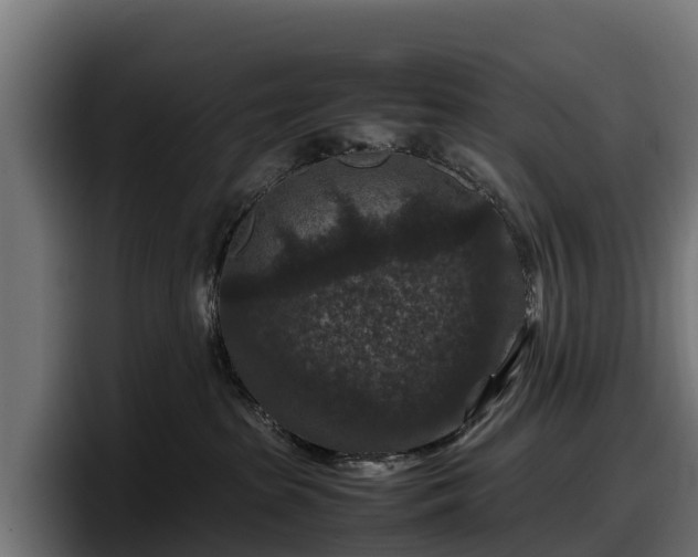X0000097840285200803201524