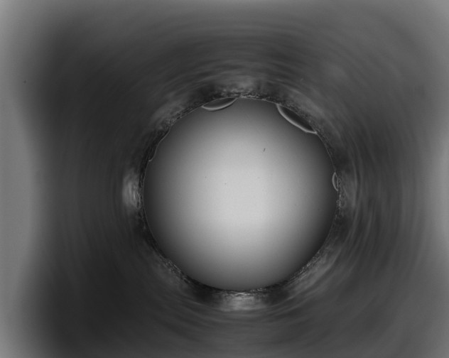X0000097840287200803201524