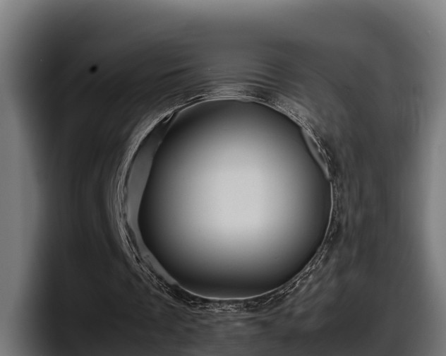 X0000097840289200803201523