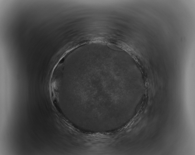 X0000097840290200803201523