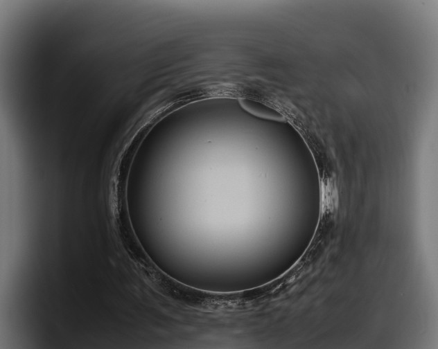 X0000097840291200803201523