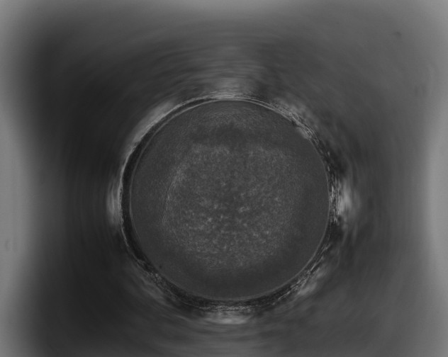 X0000097840292200803201523