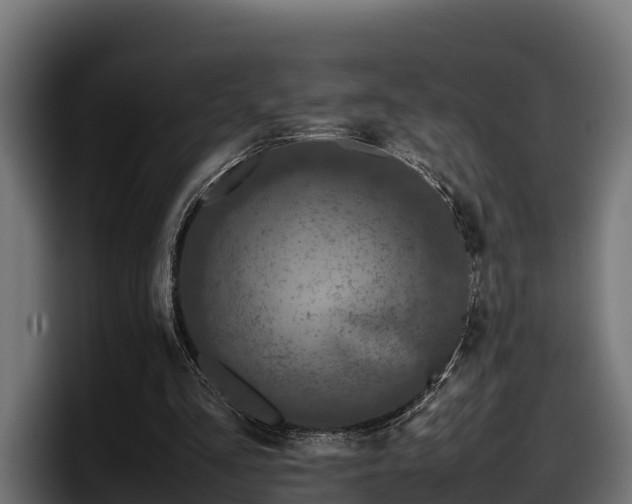 X0000097840293200803201523