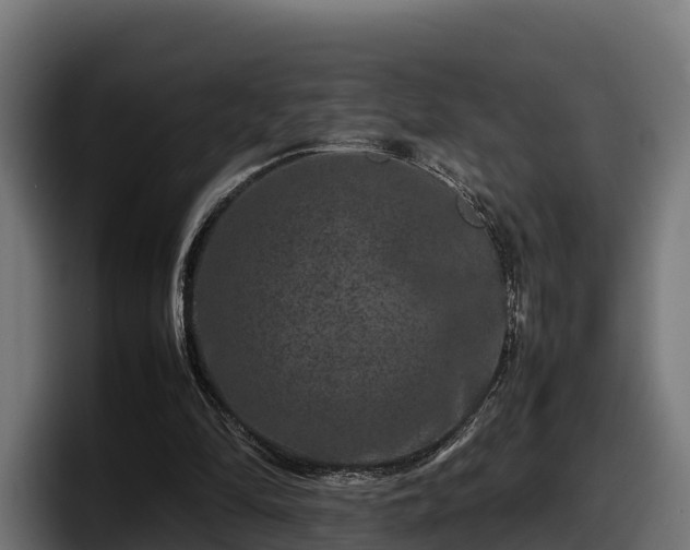 X0000097840294200803201523