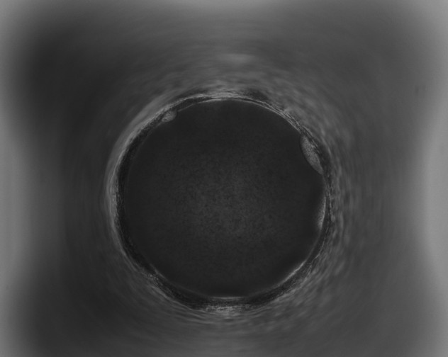 X0000097840295200803201523