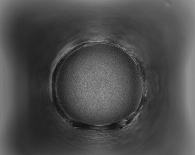X0000097840296200803201523