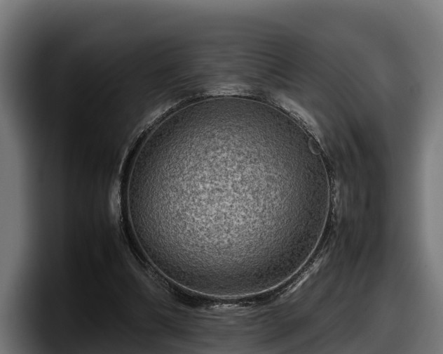 X0000097840298200803201523