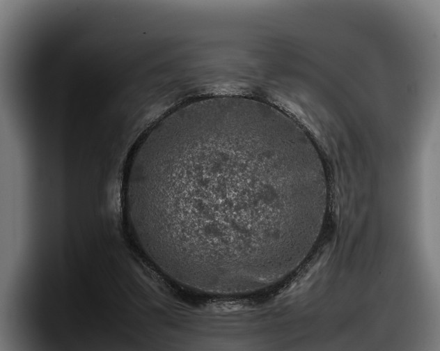 X0000097840299200803201523