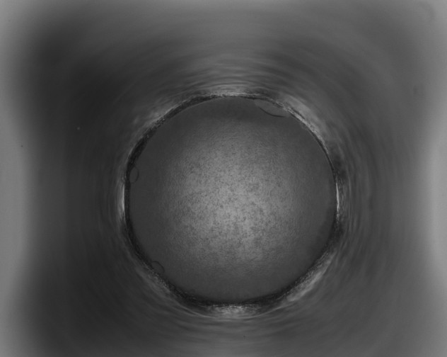 X0000097840301200803201523