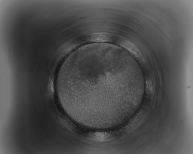 X0000097840302200803201523
