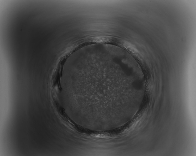X0000097840303200803201523